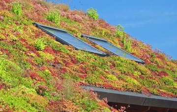 Shenfield living roof systems